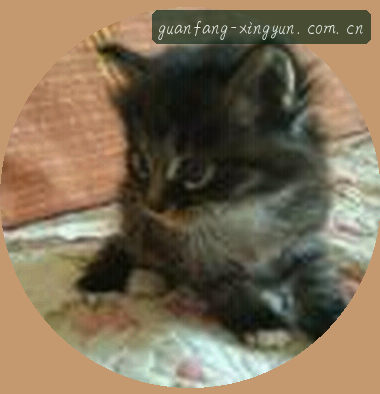 王磊